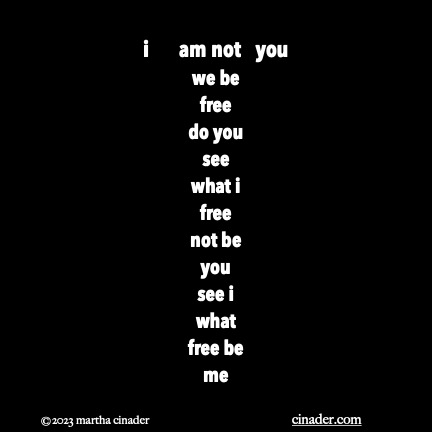 i   am not&nbsp;you