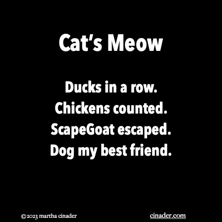 Cat’s Meow