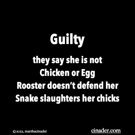 Guilty they say she is not Chicken or Egg Rooster doesn’t defend her Snake slaughters her chicks