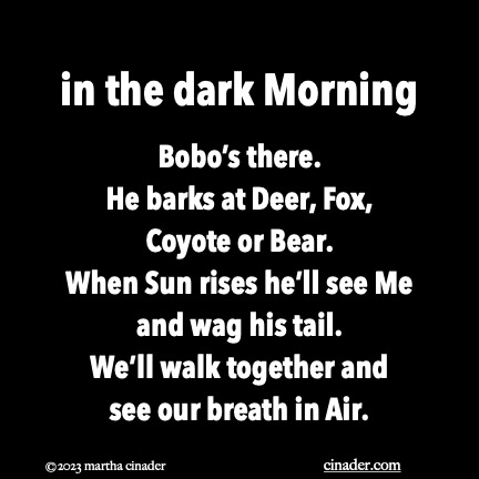 in the dark&nbsp;Morning