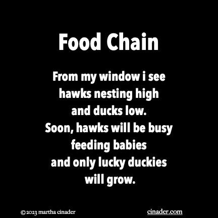 Food Chain