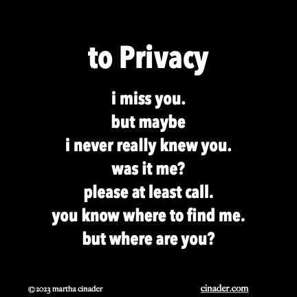 to Privacy i miss you. but maybe i never really knew you. was it me? please at least call. you know where to find me. but where are you?
